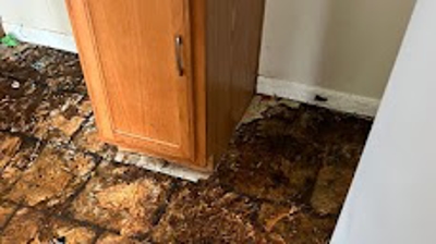 Make sure you are conducting regular inspections in your rental properties to avoid major termite damage. Photo